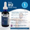 Liquid Ionic B12 2 Fl Oz Vegan Trace Minerals Brain Support 1000mcg