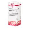 DHU Solidago virgaurea D 8 Streukügelchen, 10 g Globuli