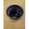 Aizu Ryumon Ware Tokuri Oikuchi Set