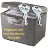 Pair of Replacement Keys for Sentry Safe Lock Boxes, Fire Chests, & Water Files Cut to Code 3C2