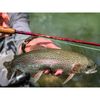 TEMPLE FORK OUTFITTERS Bug Launcher 4-5wt 7ft 2pc Fly Rod (TF-BL-45)