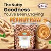 10 Pound Raw Spanish Peanuts Unsalted For Snacks Cooking Baking Freshness