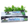 Natura's Answer PerioBrite Natural Toothpaste Charcoal Peppermint 113.4g