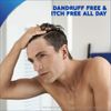 head&shoulders anti-dandruff shampoo cool menthol 350ml head and shoulder