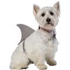 Rasta Imposta Shark Fin Dog Costume, Medium/Large