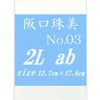 Tamami Sakaguchi 2 Sheets of 2-No. 03