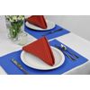 DII Solid Napkin Set Collection, 20x20, Spice, 6 Piece