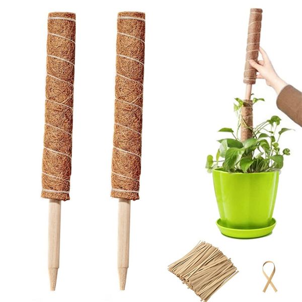 Coco Stick 2-Piece Set Monstera Stanch, House Plant, Gardening Stanch, Plant, For Gardening, Flower Tying Wire, Binding Band, Coconut Stanch, Plant Support, Vine Plants, Tomatoes, Potos, For Agriculture, Gardening Post Parts, Fashionable, 15.7 inches (40 