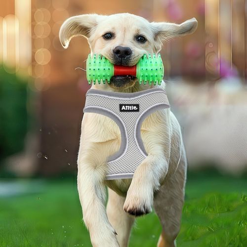 AIITLE Harness Small Size Dog, Triple-Layer Breathable Mesh, Adjustable Fit & Reflective Design, Choke-Free Over-The-Head Vest for Indoor/Outdoor Use, Perfect for Maltese, Chihuahua (S, Grey)