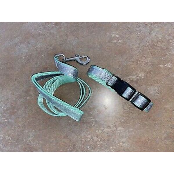 New Aqua Blue Silver Glitter Dog Cat or Other Pet Leash & Collar