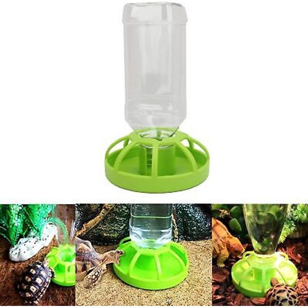 Reptile Feeder, ABS Plastic, Tortoise, Lizard, Turtle, Food and Water Green