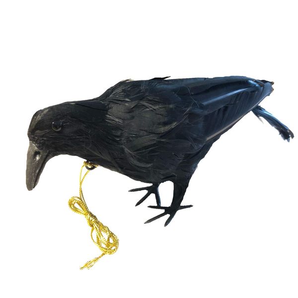 ONESORA Crow Repellent, Bird Repellent Goods, Realistic Feather Crows, 1 Small Size, Just Hang and Repel Crows