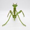 Tsukurundo ® Pocket Bugs (Colored Mantis Mantis Official Sales in Japan)