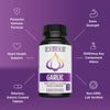 Zhou Extra Strength Garlic with Allicin | 90 CT