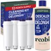 DeLonghi Cleaning & Descaling Kit - 1 Bottle Solution & 4 Filters