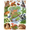 Anchor Counted Cross Stitch Kit: Essentials: Woodland Sampler, Multi-Colour, 40 x 30cm