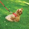 Ultrahund 'Freedom' No-Pull Harness, X-Small, Pink