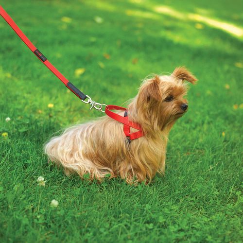 Ultrahund 'Freedom' No-Pull Harness, X-Small, Pink