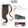Bright Lele Quick-Detach Ponytail Wig, Salon, Long, Gradient, Pigtails, Two-Tone -