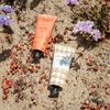 SPONGELLÉ Beach Grass Hand Cream, 57 millilitre