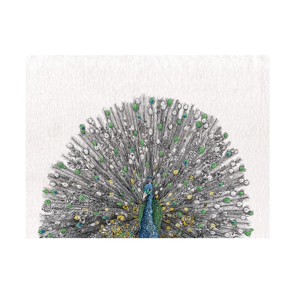 Maxwell & Williams Marini Ferlazzo Birds Printed Tea Towel with Indian Peacock Design, Cotton, Black/White, 50 x 70 cm