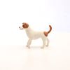 13916 - Jack Russell Terrier