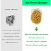 12CM Sea Sponge Unbleached Honeycomb Natural Seasponge for Bath Use, for Baby, or Art use (S Size 10-12 cm)