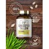 Grass Fed Beef Tallow 3120mg | 200 Softgels | Non-GMO | by Herbage Farmstead