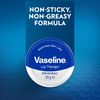 vaseline terapia labbra originale