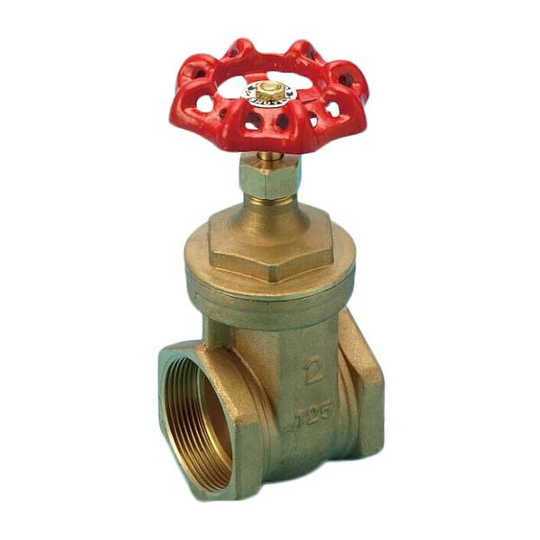 MF Gate Valve 25A