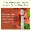 Lifelines Pen Diffuser, Spice Rush - 1mm Black Ballpoint Pen with Scented Essential Oil Blends – Aromatherapy Diffuser & Sensory Immersion Diffuse Aroma As You Write