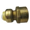 10 PIECES 1/2" PUSH FIT X 3/4" FNPT FEMALE THREADED ADAPTER
