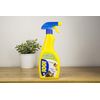 1001 Pet Stain Remover Carpets & Upholstery 500ml