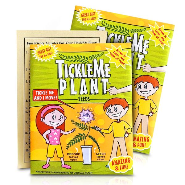 TickleMe Plant Seeds Packets (2) Party Favor! Leaves Fold Together When You Tickle It. Great Science Fun, Easy to Grow Indoors. It Can Flower. Include 10 Activities. Re-Opens in Minutes!