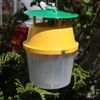 IPM Direct Moth Bucket Trap & Pheromone Lures (Gypsy Moth)