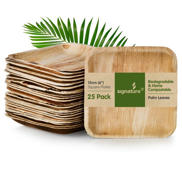 Signature Packaging - Disposable Palm Leaf Plates - Sturdy, Medium Square Plates - 15cm, 25 Pack
