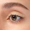 ANNA SUI Shiny Eye Color 700