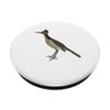 Roadrunner Chaparral Bird PopSockets Swappable PopGrip