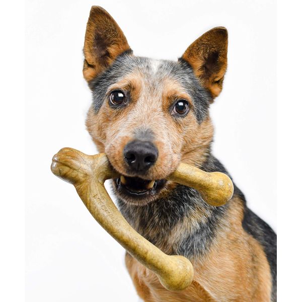 Pet Qwerks Wishbone BarkBone - Nylon Chew Toy for Aggressive Chewers - Peanut Butter Flavor - 8.25"