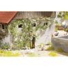 Noch 14132 Virginia Creeper Landscape Modelling