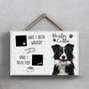 Global Designs Pets & Paws - Rope Plaque Border Collie Walked And Fed