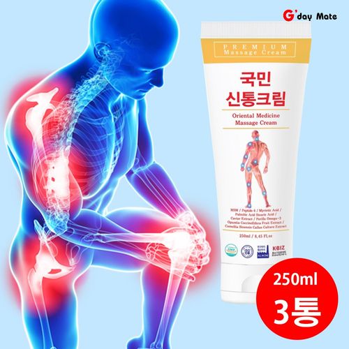 Muscle Pain Arthritis Pain Cartilage Cream Pain Relief Joint Pain Cream Muscle Pain Relief Sports Cream Arthralgia Massage Cream 250ml [Gda Might], 1 EA, 3 EA