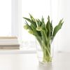 IKEA Pomp vase/Lantern, 18 cm, Clear Glass