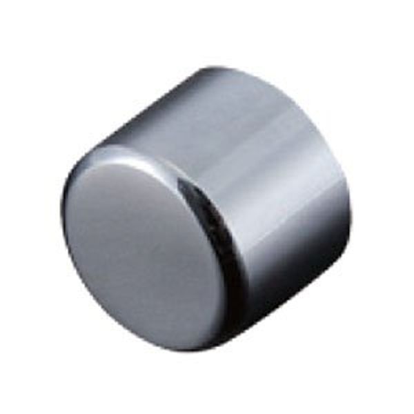 Pioneer Tech PT-13MC10 Cosmetic Cap, Chrome