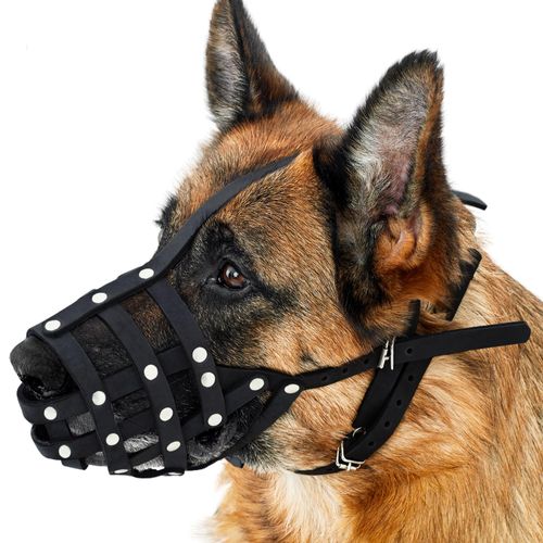 CollarDirect Dog Muzzle German Shepherd Dalmatian Doberman Setter Leather Basket Medium Large Breeds (Black, Medium)