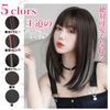 AISIQUEENS Wig, Semi-Long, Inner Color, Gray, Black, Medium Bob, Full Wig, Natural, Cross-Dressing, Women's, Fashionable, Everyday, Wig, Cosplay, Straight with Net