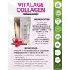 VITALAGE COLLAGEN