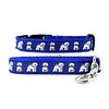 Bichon Frise Collar & Leash