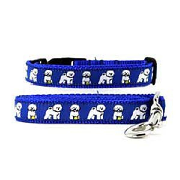 Bichon Frise Collar & Leash