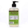 12.50 Oz Liquid Hand Soap in Apple